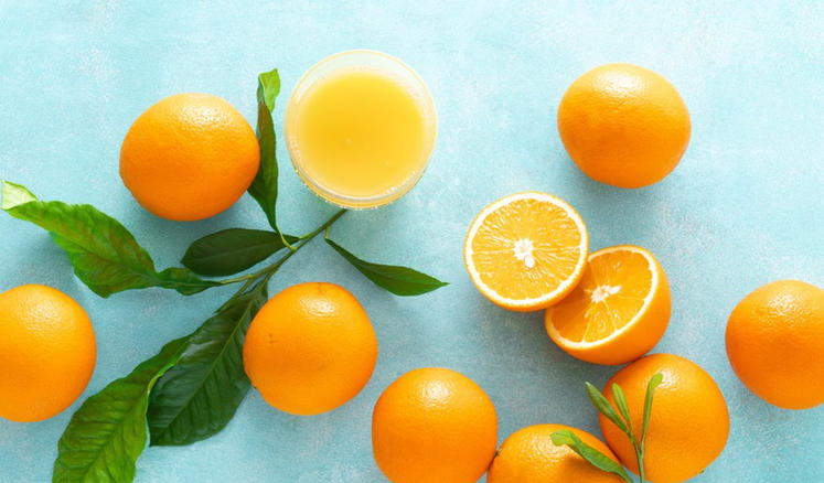 广东绿境园林景观工程有限公司轮播图4